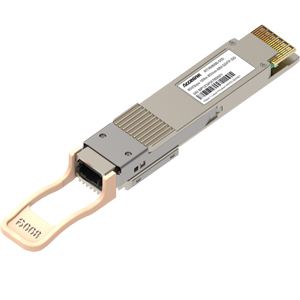 800G-QSFP-DD300